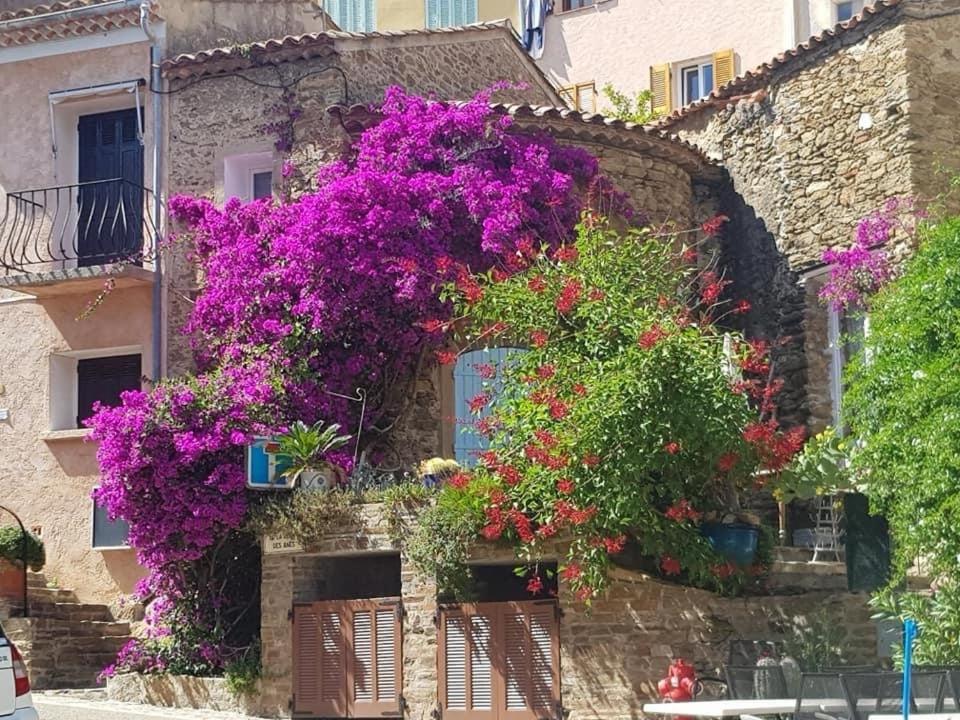 Maison De Vacances Medievale Bormes-Les-Mimosas Village ภายนอก รูปภาพ