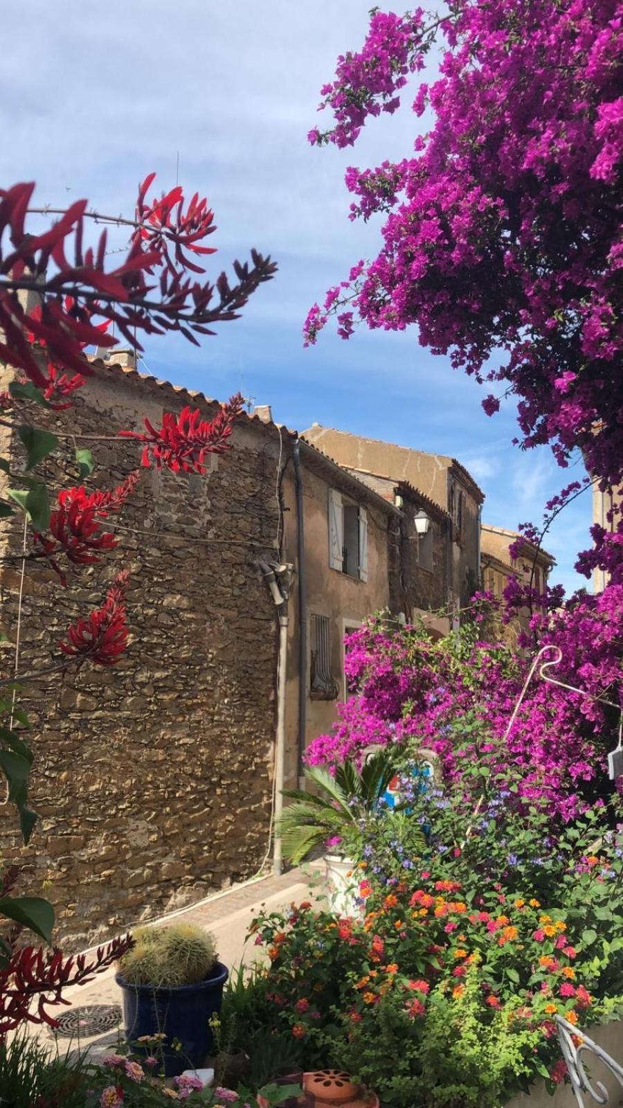 Maison De Vacances Medievale Bormes-Les-Mimosas Village ภายนอก รูปภาพ